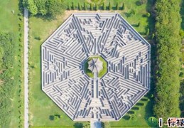 八字格局低如何化解