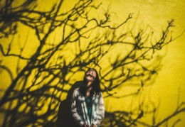 女命八字官星多好不好