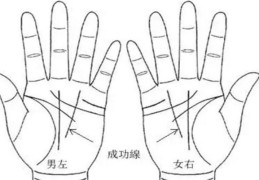 容易意外破财的手相