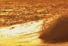 海中金命的人好吗