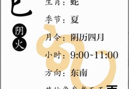 八字基础知识：十二地支、巳火