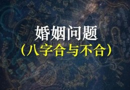 什么样的八字属于相合