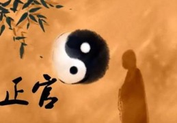 女命遇官杀流年好吗