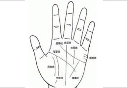 智慧线浅的人就代表不聪明吗