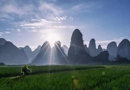 食神制杀格是富贵格局吗