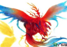 八字枭印重重格局详解