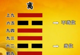 六爻八卦离卦取象技巧