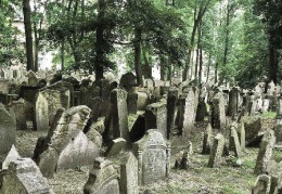 坟上长树风水好吗