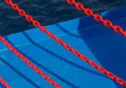 五行属火无木该怎么补