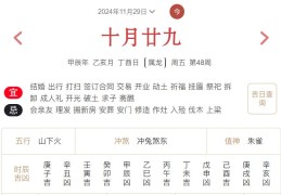 2024年11月29日每日五行穿衣指数解读搭配