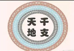 ​八字地支重要还是天干重要