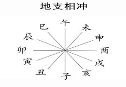 八字中出现两地支相冲怎么样