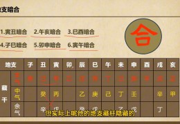 八字干支暗合断法技巧