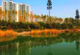 房前有河流风水好吗