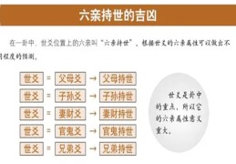 六爻官鬼爻持世应用技巧