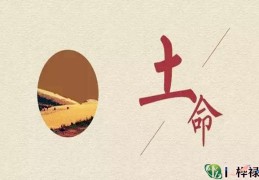 哪种土命最好，土命中几月出生最好