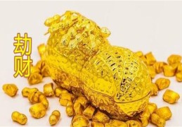 劫财运什么意思（行正印坐劫财运什么意思）