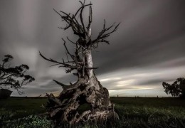 八字预测生死的技巧