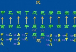 八字地支藏干透出象义