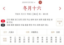 2024年12月16日每日五行穿衣指数解读搭配