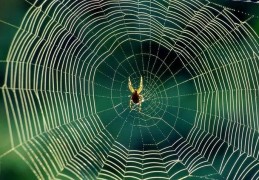 八字见天罗地网入命吉凶主事