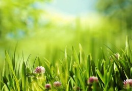 身旺比劫透干含义