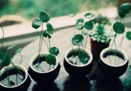 天干正财合偏印象义