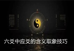 六爻中应爻的含义取象技巧