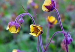 布鞋风水学（布鞋讲究）