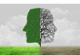 八字两神成象格什么意思