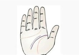 两条智慧线代表什么