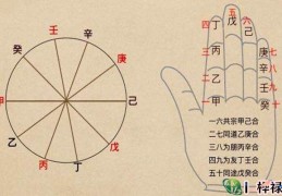八字天干五合合化原则