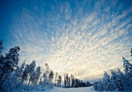 乙亥日生人的命运（乙亥日生人的命运解析）
