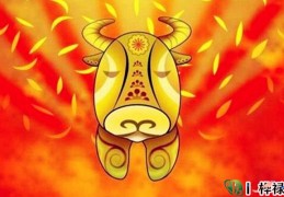 过本命年有什么讲究吗