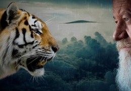 阳台放洗衣机的风水讲究（阳台放洗衣机的风水讲究是什么）