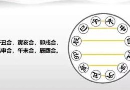 八字中地支六合有哪些