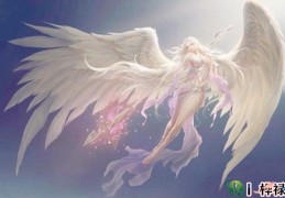 亡神对八字的影响