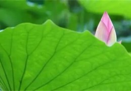 命理改运方法大全