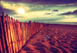 ​八字忌神破格的表现