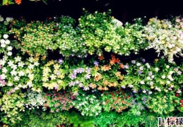 家中摆假花影响风水吗