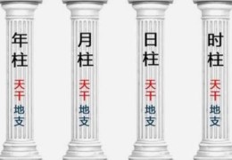 八字四柱表示什么