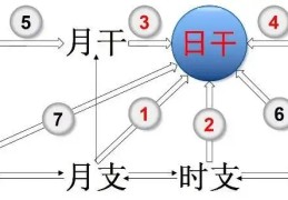 天干和地支的相互作用