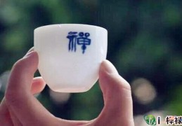 六爻取象的含义及取象技巧