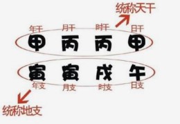 四柱干支位置远近论