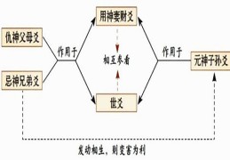 八字正官与坐支关系