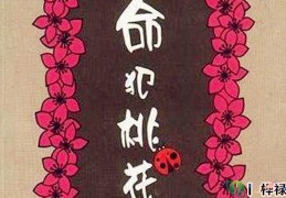 命理有哪些桃花