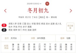 2024年12月9日每日五行穿衣指数解读搭配