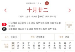 2025年12月11日每日五行穿衣指数解读搭配