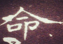 怎么看是不是童子命