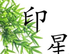 印星在八字中重要吗